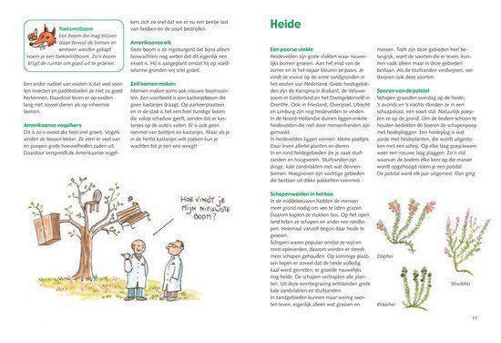 Op Pad Met De Boswachter