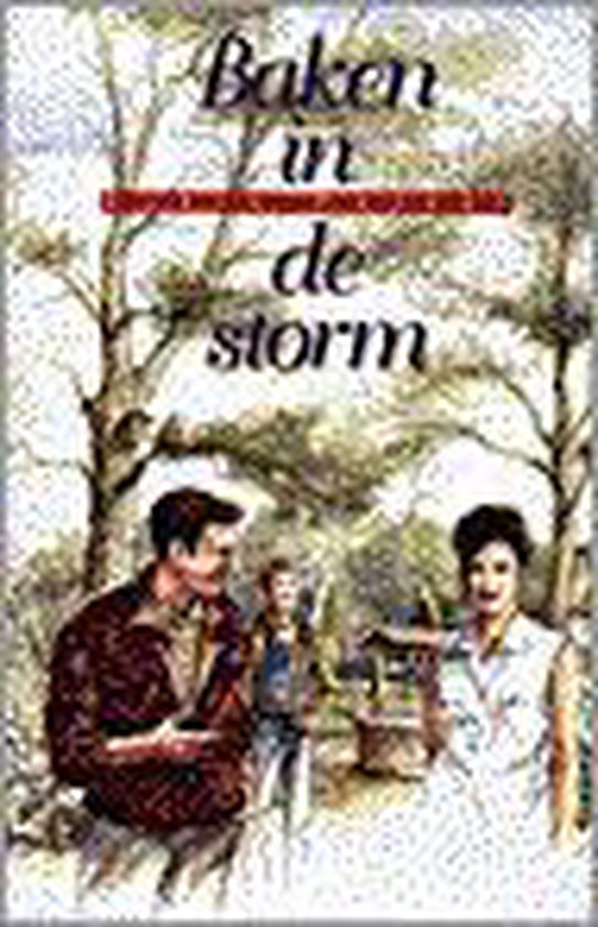 Baken in de storm - cover