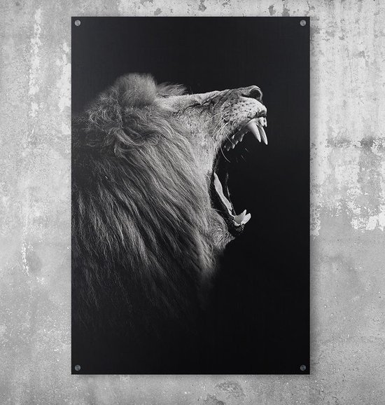 schroef ondergronds Baars Poster leeuw op aluminium | bol.com