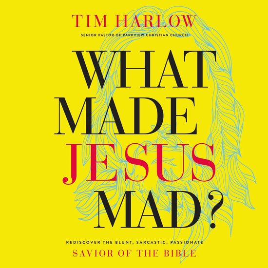 What Made Jesus Mad? - cover