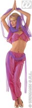 1001 Nacht & Arabisch & Midden-Oosten Kostuum | Buikdansende Harem Danseres Kostuum Vrouw | Small | Carnavalskleding | Verkleedkleding