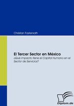 El Tercer Sector en México