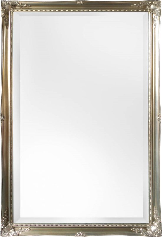 Rechthoekige Ornament Spiegel Ethan Buitenmaat 76x137cm Zilver