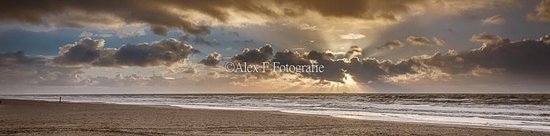 Foto op Dibond, Strand 007 (150x35cm)