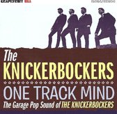 One Track Mind: The Garage Pop Sound of the Knickerbockers