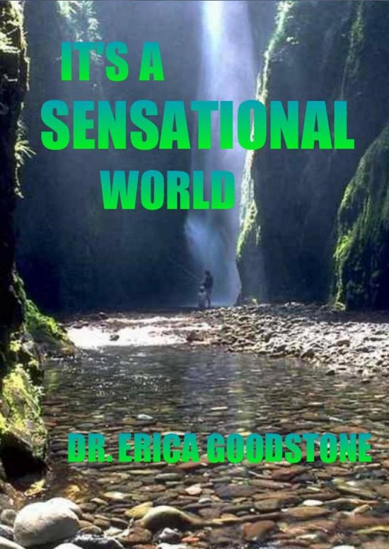 It's A Sensational World - cover