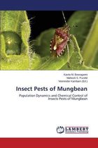 Insect Pests of Mungbean