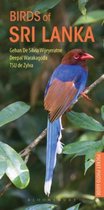 Birds Of Sri Lanka Photo Guide