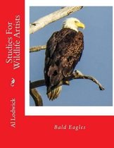 Bald Eagles