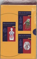 Sesam Atlas Van De Anatomie Set 3 Delen