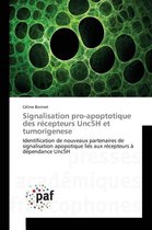 Signalisation Pro-Apoptotique Des Recepteurs Unc5h Et Tumorigenese