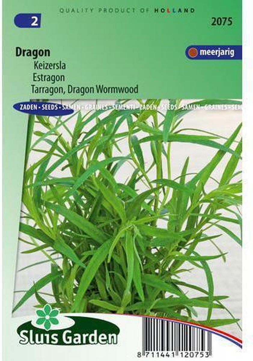 Sluis Garden - Dragon Russische (Artemisia dracunculus) - Sluis garden