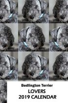 Bedlington Terrier Lovers 2019 Calendar