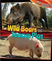 Wild Boars and Teacup Pigs