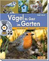 Vögel zu Gast im Garten