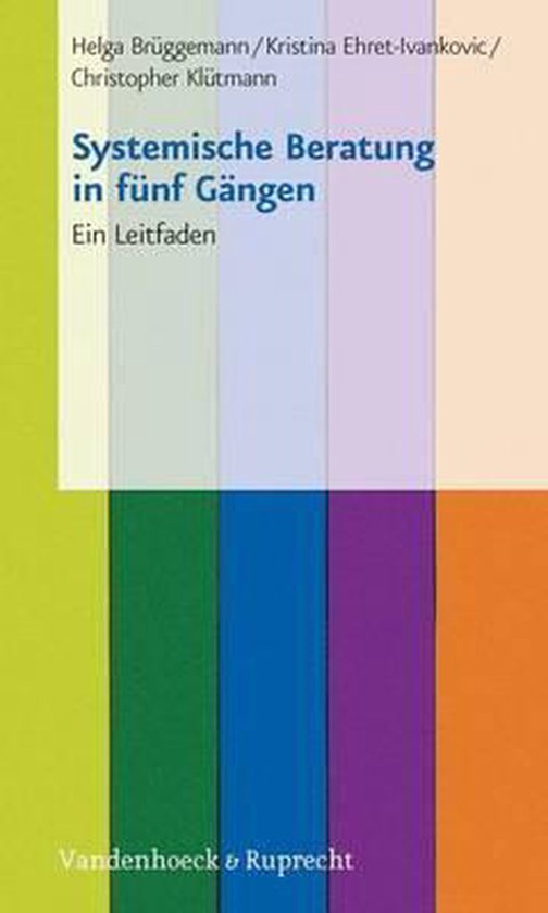 Systemische Beratung in Funf Gangen - cover