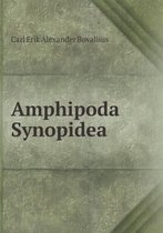 Amphipoda Synopidea