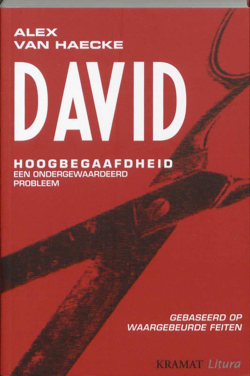David, Alex van Haecke | 9789079552085 | Boeken | bol.com