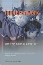 Jongerenwerk in Nederland