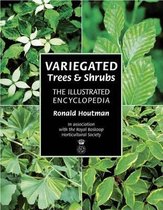 Variegated Trees & Shrubs