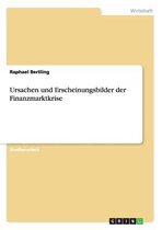 Ursachen Und Erscheinungsbilder Der Finanzmarktkrise