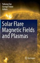 Solar Flare Magnetic Fields and Plasmas