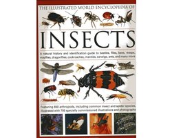 Omslag van Illustrated World Encyclopaedia Of Insects