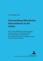 Umwandlung Oeffentlicher Unternehmen in Der Tuerkei