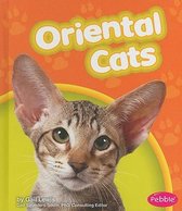 Oriental Cats