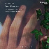 Philippe Herreweghe Collegium Vocal - Purcell Funeral Sentences (CD)