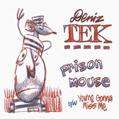 Prison Mouse