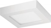 LED's Light panel 12W 172x172mm 3000K