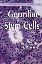 Germline Stem Cells