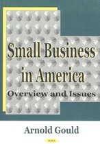 Small Business in America