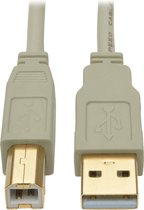 Tripp-Lite U022-010-BE USB 2.0 A/B Cable (M/M), Beige, 10 ft. TrippLite