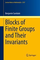 Lecture Notes in Mathematics 2127 - Blocks of Finite Groups and Their Invariants
