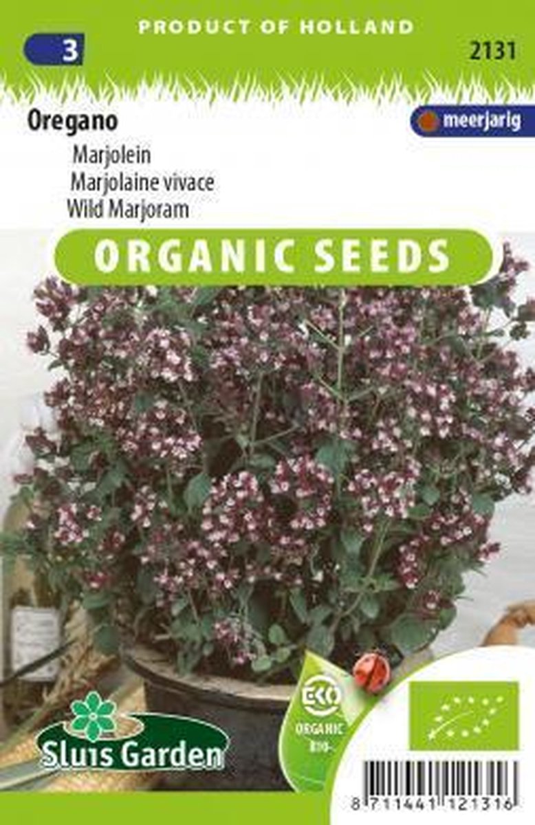 Sluis Garden - Oregano Biologisch (Origanum vulgare) - Sluis garden