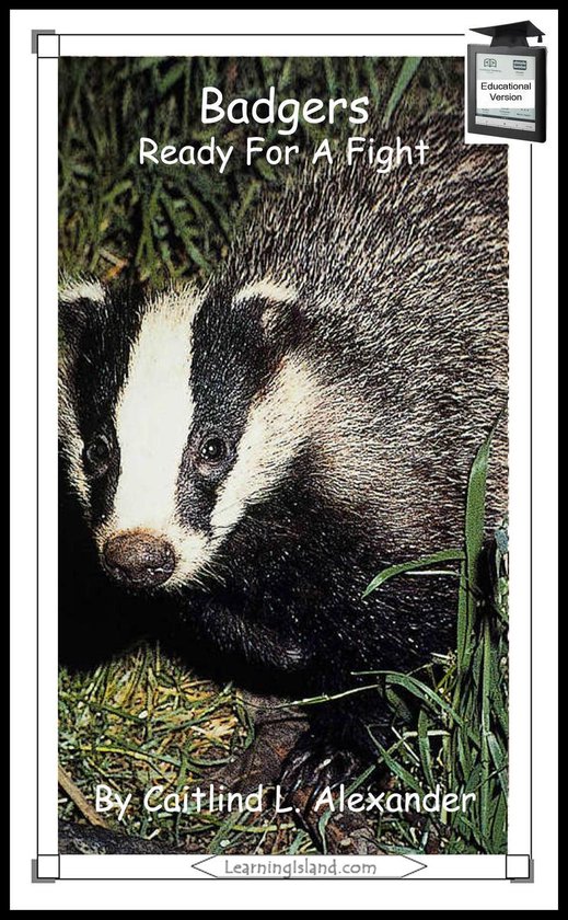 15-Minute Books 320 - Badgers: Ready For a Fight: Educationa ... - cover
