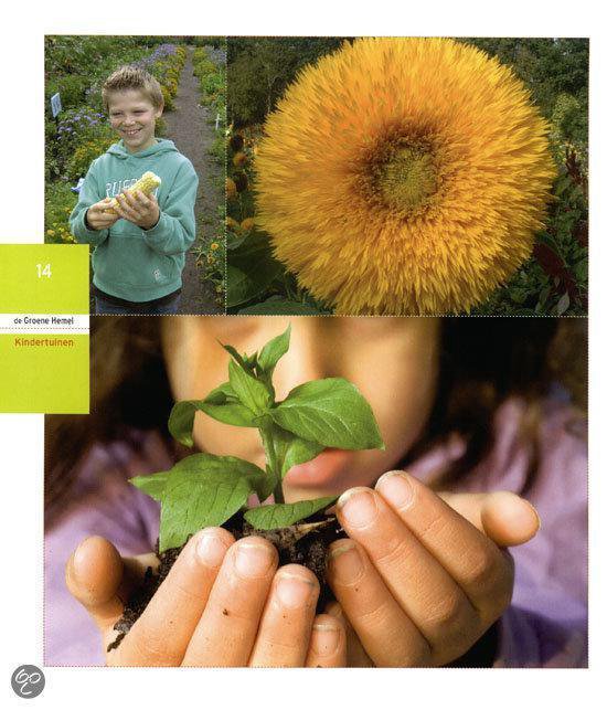 De Groene Hemel + DVD