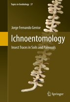 Topics in Geobiology 37 - Ichnoentomology