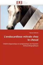 L'endocardiose mitrale chez le cheval