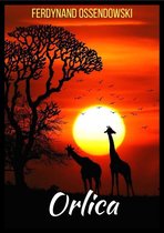 E-book