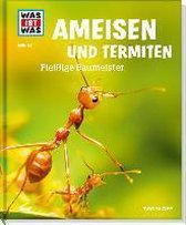 Ameisen und Termiten. Fleißige Baumeister