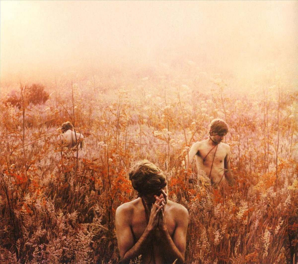 Sebastian Plano - Arrhythmical Part Of Hearts (LP)