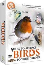 How to Attract Birds