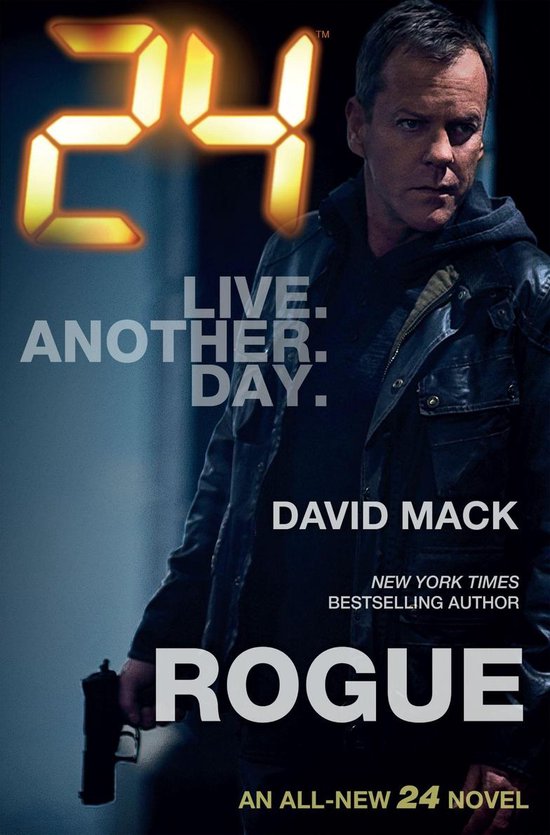 24 - Rogue - cover