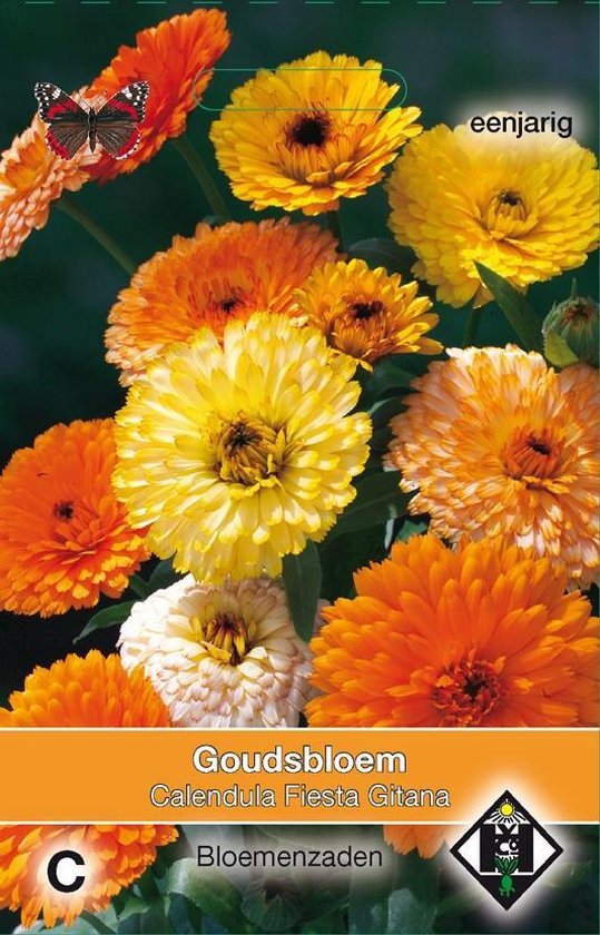 8 planten tegen muggen 16 2 stuks Van Hemert & Co Calendula officinalis Fiesta Gitana