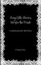 Sexy Little Stories, Not for the Prude