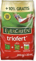 Evergreen Triofert Anti-mos + gazonmeststof 220m² 22kg