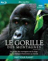 Bbc Earth; Le Gorille Des Montagnes